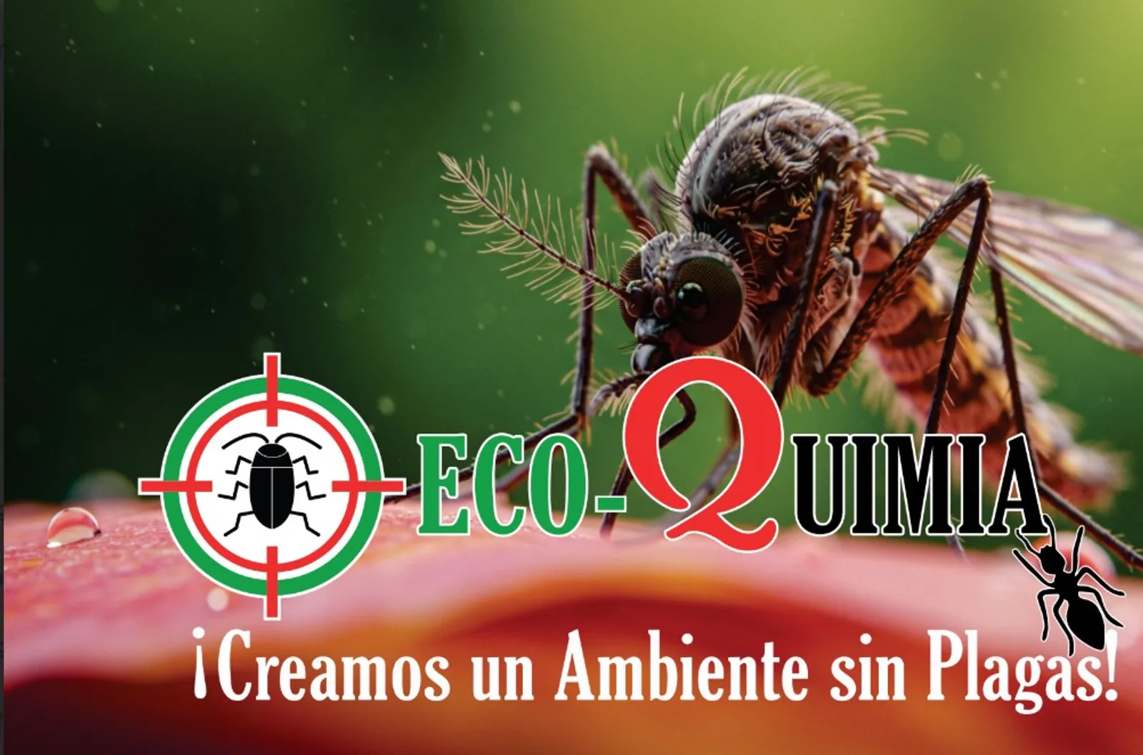 Control de plagas profesional - Ecoquimia